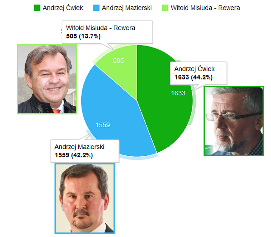 Wybory samorządowe 2014 - wyniki po pierwszej turze